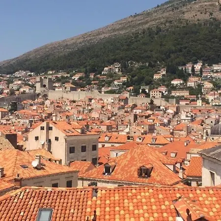 호스텔 Angelina Old Town *